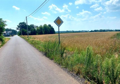działka na sprzedaż - Kraszewice, Leśna